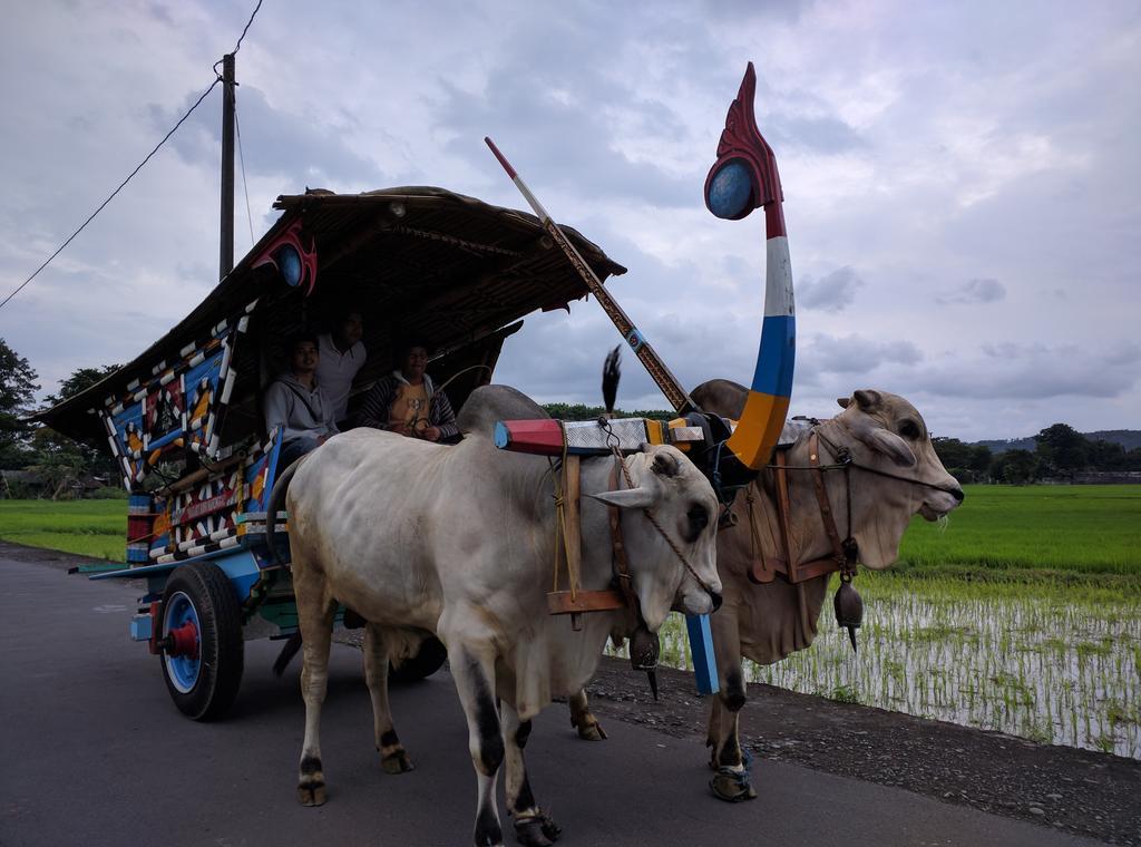 Joglo Ayem Tentrem Prambanan Zewnętrze zdjęcie